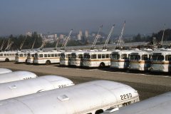 retired brill trolleys img936 oct86