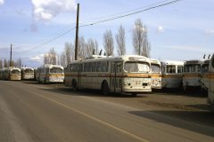 retired brill trolleys img939 apr86 bill macdonald