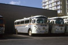 vicl 0148 img286 aug65