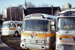 vicl 0506 img215 feb79
