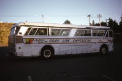 vicl 0603 img284 aug74