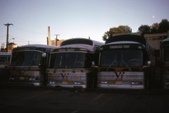 vicl 0702 img233 aug74
