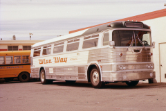 wise way img293 12jul77