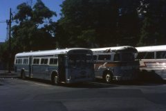 psl 5504 img773 jul69