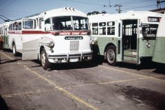 psl 6211 img626 psl seattle fantrip