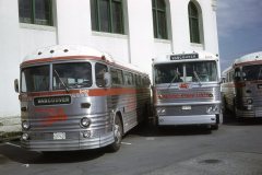 psl 6405 6310 6401 img685 apr74