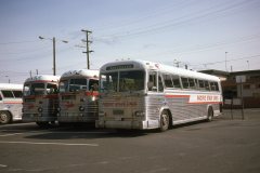 psl 6607 img706 apr75