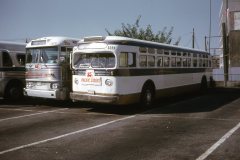 psl 6694 6320 img737aug74