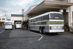 psl 6716 6607 635 img748 apr74