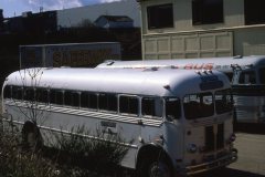 saferway wstrn 4176 flyer t40 img874 ex royal blue ln
