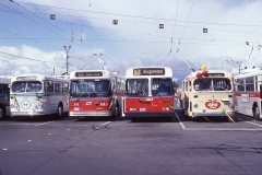 2040-img429-1998