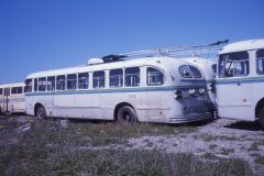 2073-img537