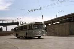 2416-img782-aug88-Bill-MacDonald