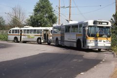 2640-2226-img825-jun82-Bill-MacDonald