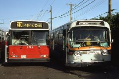 2785-6907-img890-jan84