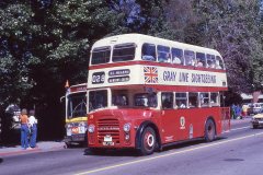 gray-line-28-img417-04jul79