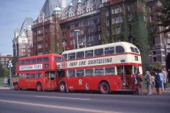 gray-line-30-img413-04oct76