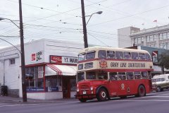 gray-line-31-img421-jul79