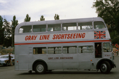 gray-line-rt3877-img419-jul79