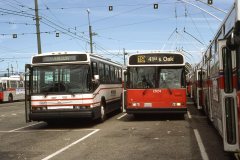 neoplan-demo-2924-img881-jul86