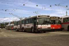 neoplan-demo-img876-jul86