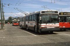 neoplan-demo-img877-ju86