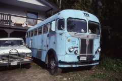 old-flyer-nelson-bc-img410-22aug93