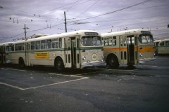 2172 img198 sep73