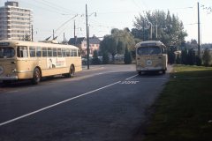 2207 img256 11oct65