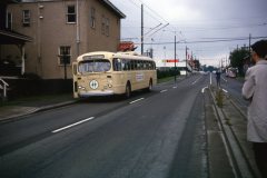 2226 img313 jun67 hemlock