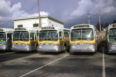 4747 4750 4751 img485oct73