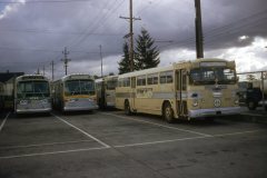 4823 4743 4749 img508oct73