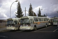 4904 4903 4730 img489 oct73