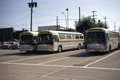 5911 5907 3745 img590 sep73