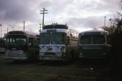 5929 6505 103 img611 nov74