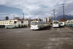 5974 3373 kitchener brills img603 apr74